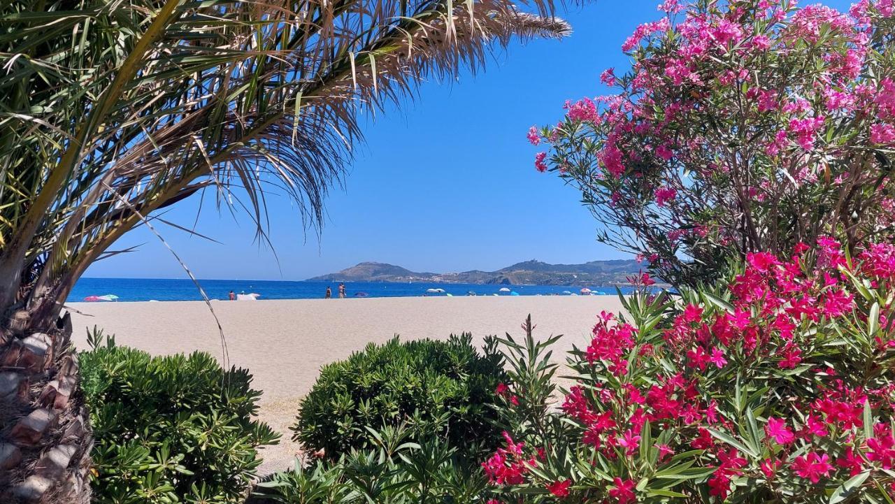 Sur La Plage, Super Studio Avec Vue Sur La Mer Plage dʼArgelès Exterior foto